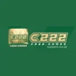 C222 Game