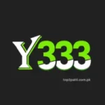 Y333 Game